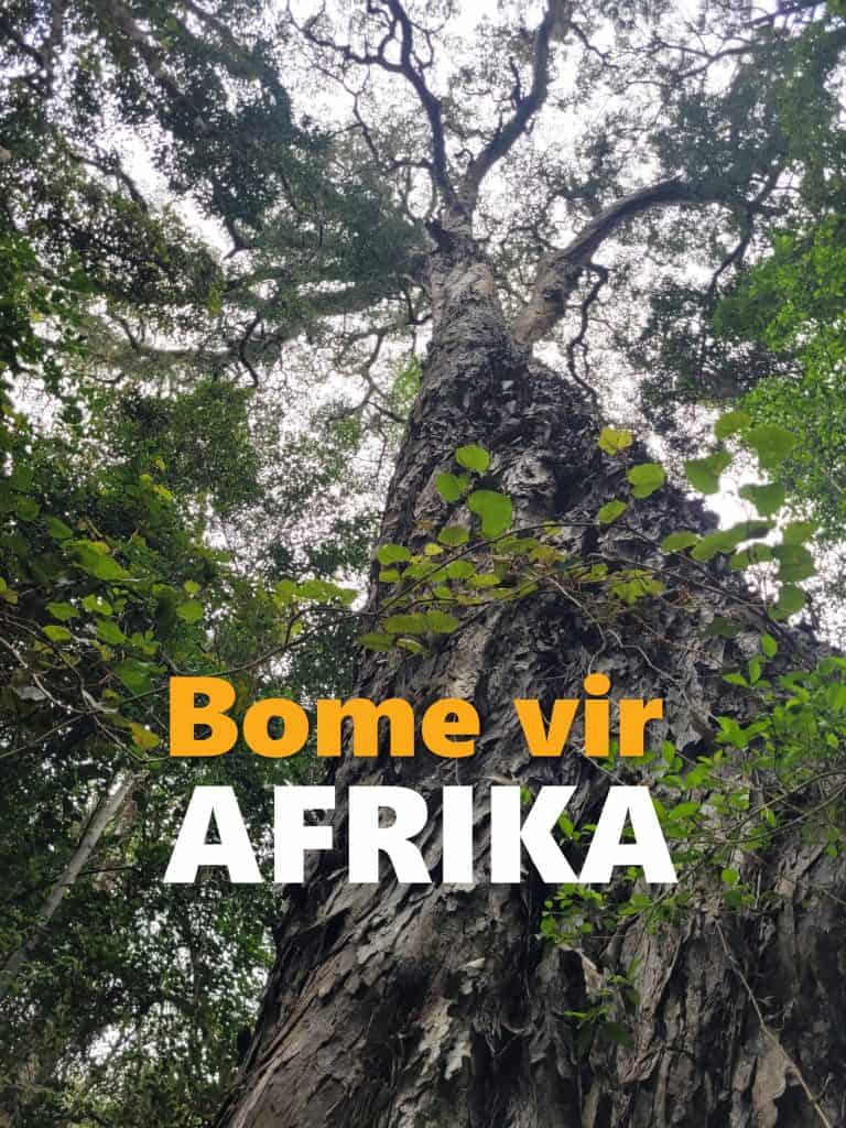 AfriForum plant bome vir Afrika