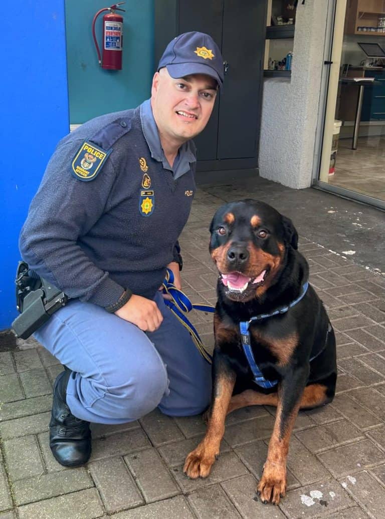 SAPD-honde-eenheid kou harde bene